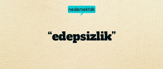 “edepsizlik”