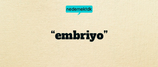 “embriyo”