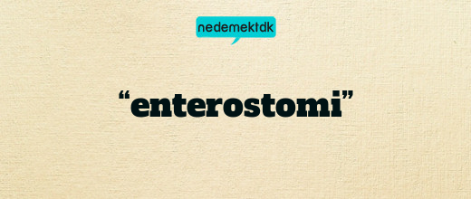 “enterostomi”