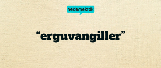 “erguvangiller”