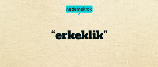 “erkeklik”