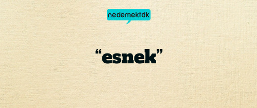 “esnek”