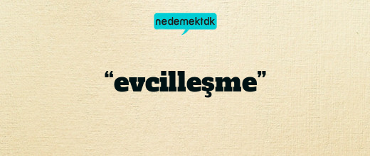 “evcilleşme”