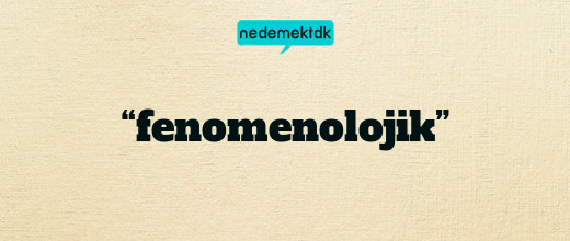 “fenomenolojik”