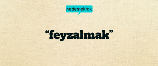 “feyzalmak”