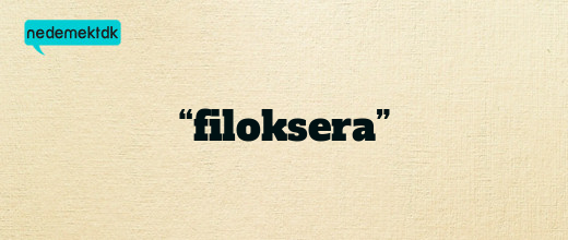 “filoksera”