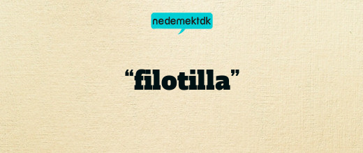 “filotilla”