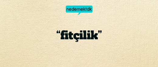 “fitçilik”