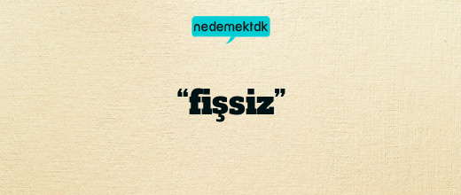 “fişsiz”