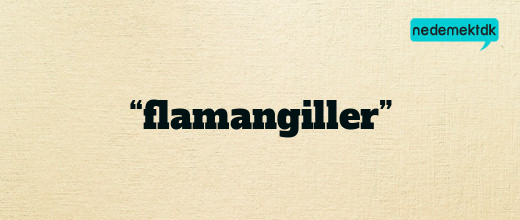 “flamangiller”