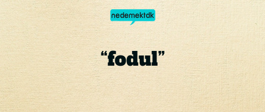 “fodul”