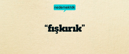 “fışkırık”