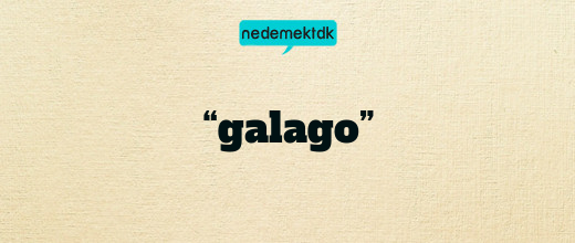 “galago”