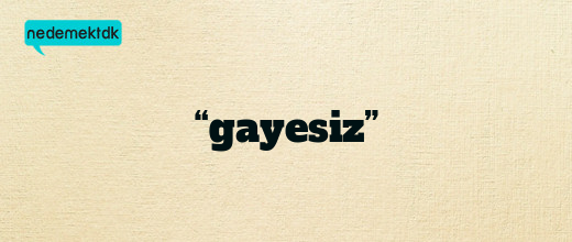 “gayesiz”