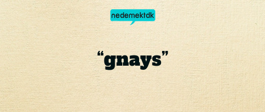 “gnays”