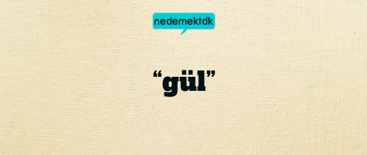 “gül”