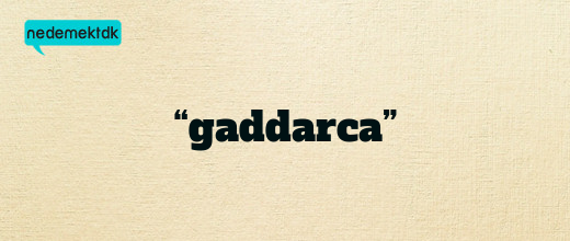 “gaddarca”