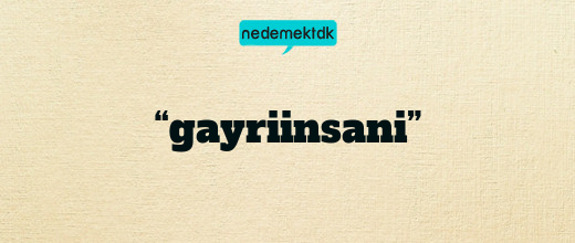 “gayriinsani”