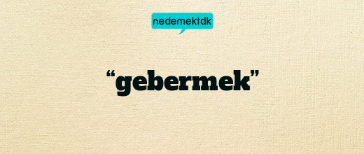 “gebermek”