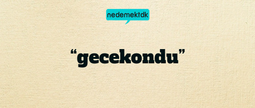 “gecekondu”