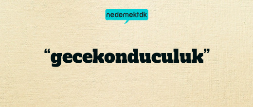 “gecekonduculuk”