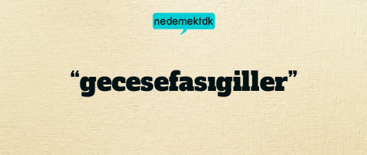 “gecesefasıgiller”