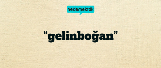 “gelinboğan”