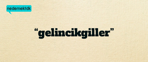 “gelincikgiller”