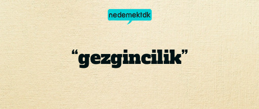 “gezgincilik”