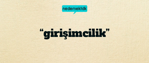 “girişimcilik”