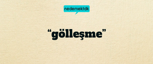 “gölleşme”