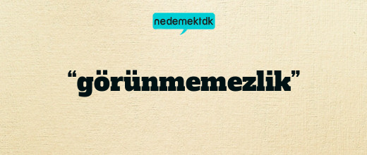 “görünmemezlik”