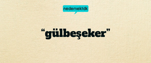 “gülbeşeker”