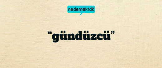 “gündüzcü”