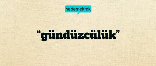 “gündüzcülük”