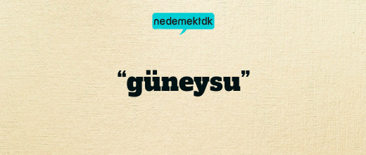 “güneysu”