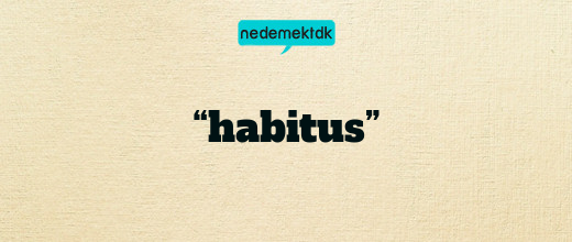 “habitus”