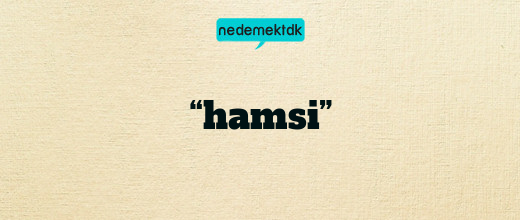 “hamsi”