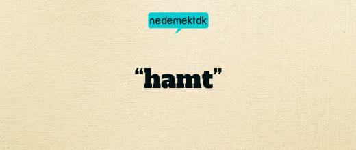 “hamt”