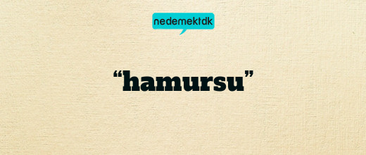 “hamursu”