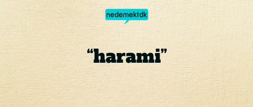 “harami”