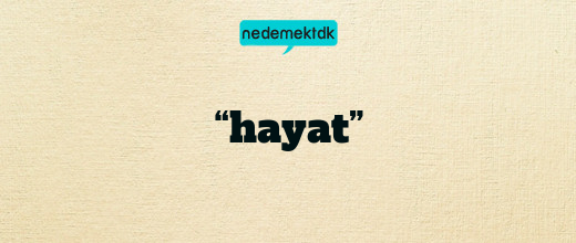 “hayat”