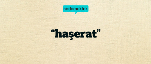 “haşerat”