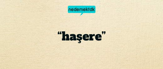 “haşere”