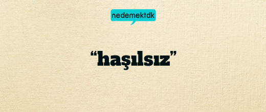 “haşılsız”