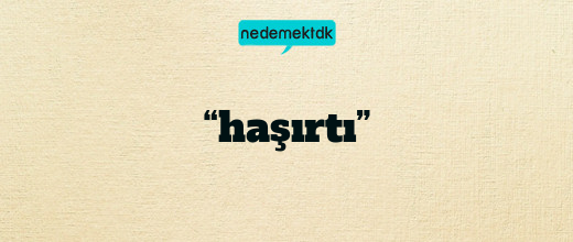 “haşırtı”