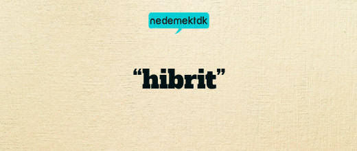 “hibrit”