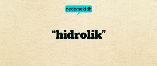 “hidrolik”