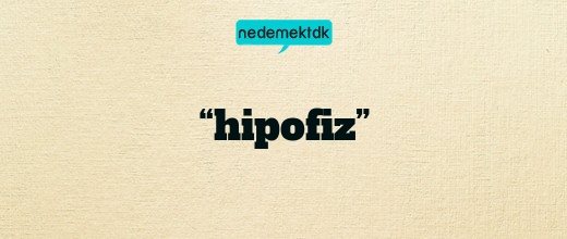 “hipofiz”