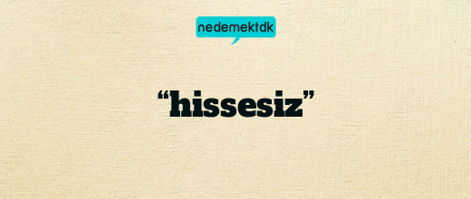 “hissesiz”